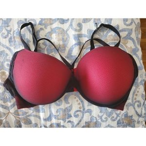 Torrid Bra